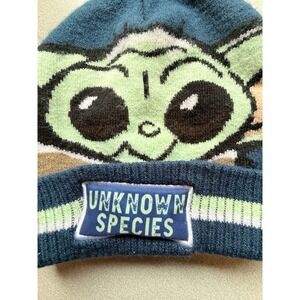 Accessory Innovations Star Wars Baby Yoda Unknown Species Children's Beanie